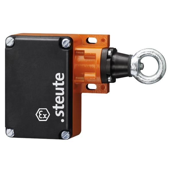 73041301 Steute   